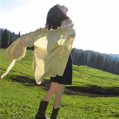 速度与激情:特工飞车手第二季